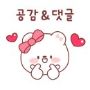 토지보리밥 이미지