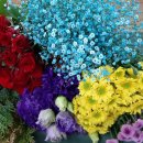 계양구 보훈회관 | 계양구 치매안심센터, 고령 국가유공자 치매예방 특별프로그램 운영