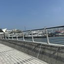 대륙철재 | 2024 부산국제사진제 관람 후기 (꼭 알고 가야할 것, 관람 팁, 주차, 입장료)