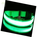 미나애견 이미지