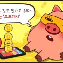 오토링 이미지