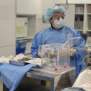 아시아방사선 이미지