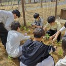 범박초등학교 이미지