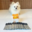 프롬퍼피 | 강아지오메가3 효능 피부에 좋은 프롬더셀 애견영양제