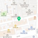 시바견 분양 루이몽 강남본점 이미지