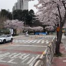 농산물품질관리원 앞 이미지
