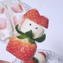 단북애청년 이미지