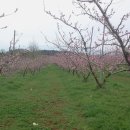 남원미래농장 이미지