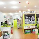 맹구와 땡칠이 이미지