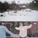 효리네 민박 이미지