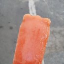 디자인라이언 이미지