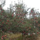 부남농장 이미지