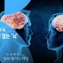 늙지 않는 뇌 - 생로병사의 비밀 이미지