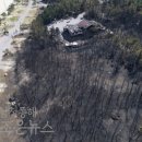 망상오토캠핑리조트 이미지