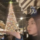 비디오랜드 | 25년 가을 도쿄 여행 디즈니랜드 크리스마스 시즌 방문 후기 (디즈니앱. 미녀와야수 dpa 등)