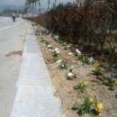 위천 석재단지 이미지