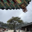 🏕️ 스노우피크 웨이(Snowpeak way) 프리미엄 2023 인제...랜드락 프로 레드프레임(FES-091)과 함께한 후기