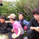 커피닐리리 Daum카페