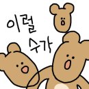 홀리디테일링 이미지