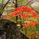 넓은세상 이미지