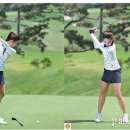 정렬대로 이미지