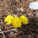 바우길 1구간 이미지