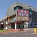 제주특산품할인매장