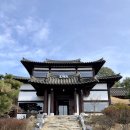 정리수납 | [충북여행] 증평카페 추천 ‘이와카페’ - 한옥카페 분위기 낭낭