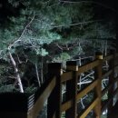 삶의 흐름에 나를 맡겨 보세요 이미지