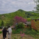 배나무꽃 캠핑장 네이버블로그