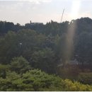 동행(광교)공인중개사사무소 | 신뢰할 수 있는 선택, 광교 갤럭시 공인중개사사무소의 부동산 중개 서비스 후기