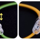 토마토안경 이미지