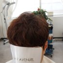 헤어살롱 에비뉴엘 이미지