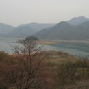 유일낚시마트 Daum카페