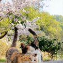 세계로의료복지센터 이미지