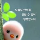 고운미소 이미지
