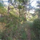 동면보건지소 이미지