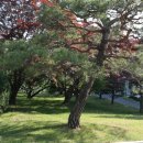 연암대학교 이미지