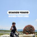 악양 승마장 이미지