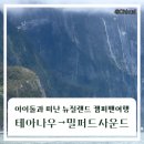 장관주유소 | 밀퍼드사운드 가야 할까? 비 오는 날 결국 다녀온 하루(크루즈 현장 예매 후기)