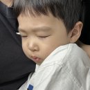 울산 봉계 한우 맛집 봉계참솔한우｜내돈내산 가족외식 후기