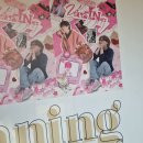 스트레이키즈 아이엔 생카 후기 / 온 종일 너로 꽉꽉 발효중 #아기빵_항상_사랑으로_발효중