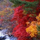 들꽃향기 펜션 이미지