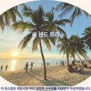 트리씨 | 촌부리 씨 샌드 트리 호텔 추천 후기! 인생 여행 숙소 등극