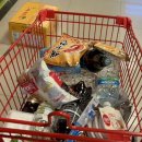 아라뜰데이지 이미지