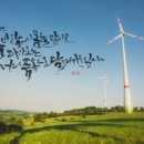 캘리그라피 이미지