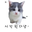 스타벅스 거제옥포DT점 이미지