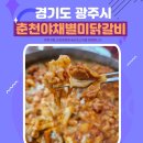 경기 광주 경안동맛집 춘천야채별미닭갈비 후기
