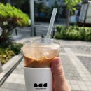 나이스카페인클럽가산에이스