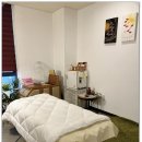 스텔리안